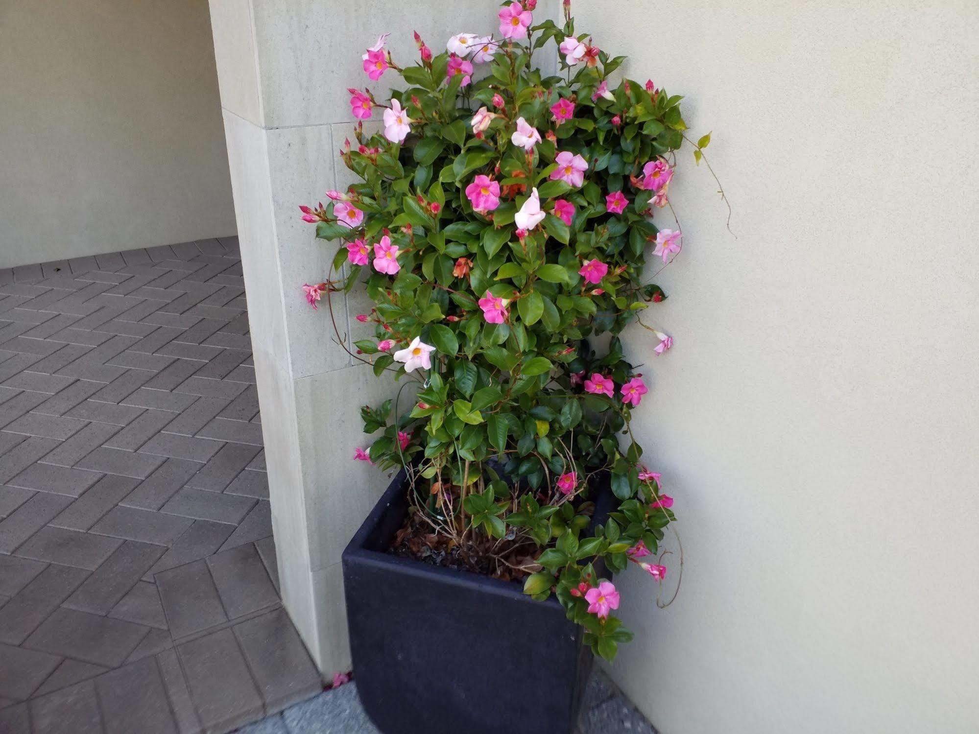 Sorrento Beach Bed & Breakfast Perth Bagian luar foto